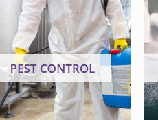 Pest Control