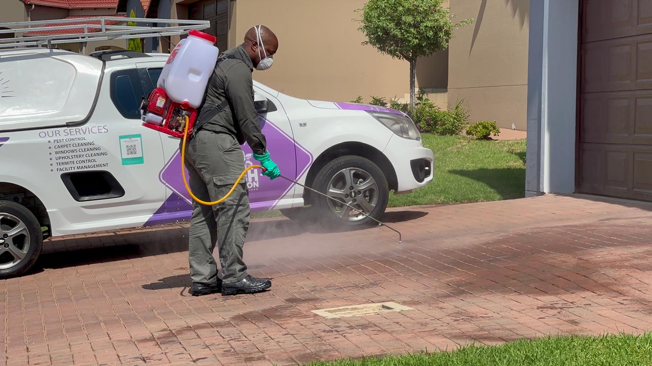 Fresh Lavation technician performing bee removal treatment service in Pretoria