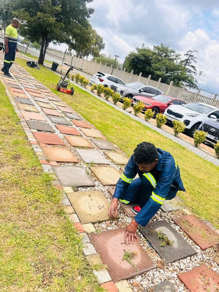 Fresh Lavation horticulture team maintaining a commercial garden in Pretoria